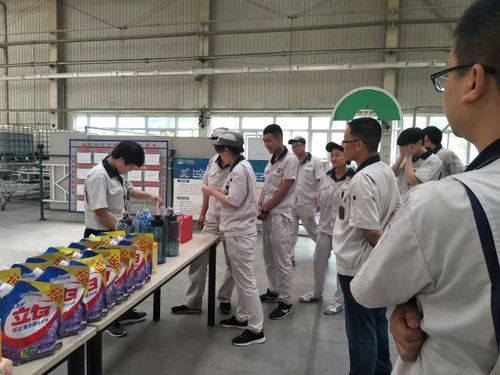 軟質(zhì)車(chē)間 粽香傳情系端午，匠心筑夢(mèng)展風(fēng)采